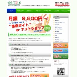 Braec(ブレイク) Flash対応携帯ECサイト構築ASPサービス