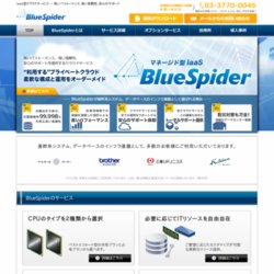 BlueSpider